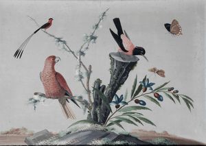 Vittorio Raineri, : Paesaggi con volatili, fiori, insetti e vegetazione  - Asta Old Masters - Associazione Nazionale - Case d'Asta italiane