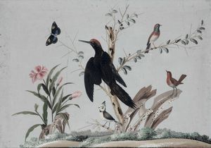 Vittorio Raineri, : Paesaggi con volatili, fiori, insetti e vegetazione  - Asta Old Masters - Associazione Nazionale - Case d'Asta italiane