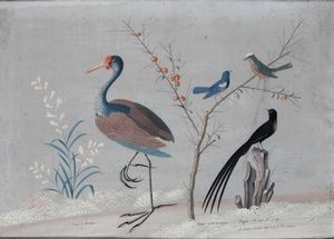 Vittorio Raineri, : Paesaggi con volatili, fiori, insetti e vegetazione  - Asta Old Masters - Associazione Nazionale - Case d'Asta italiane