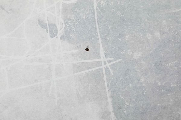 MARIA LAI : Monotipo su carta  - Asta Arte Moderna e Contemporanea - Associazione Nazionale - Case d'Asta italiane