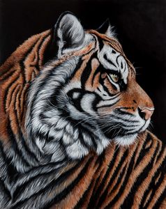 Paola Bartolacci - The sentinel