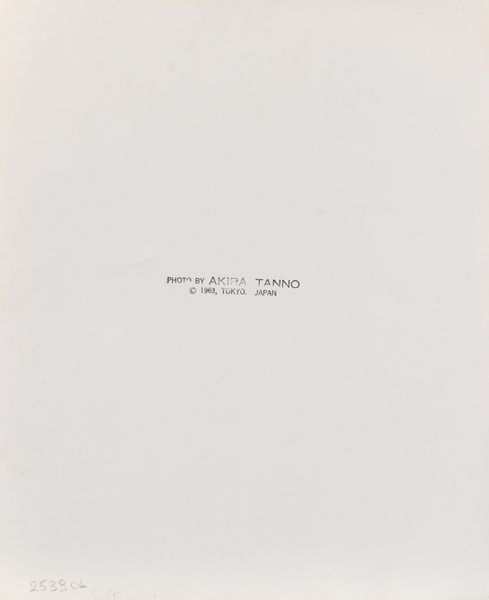 Akira Tanno : Lorin Maazel  - Asta Fotografia e multipli d'artista - Associazione Nazionale - Case d'Asta italiane