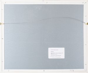 Karen Knorr : Flight to Freedom, Durbar Hall, Dungarpur, dalla serie �India Song�<BR>  - Asta Fotografia e multipli d'artista - Associazione Nazionale - Case d'Asta italiane