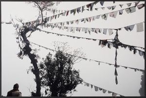 Lorenzo Jucker - Ukiyo-e 04, dalla serie �India (2007)�