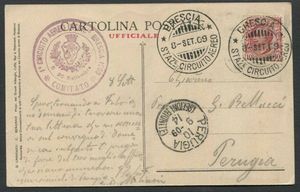 1909, Brescia, I Circuito Aereo Internazionale, cartolina ufficiale policroma  - Asta Filatelia e Storia Postale - Associazione Nazionale - Case d'Asta italiane
