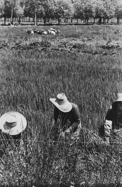Riccardo Moncalvo : Senza titolo  - Asta Fotografia  - Associazione Nazionale - Case d'Asta italiane