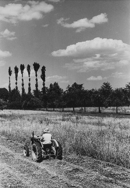Riccardo Moncalvo : Senza titolo  - Asta Fotografia  - Associazione Nazionale - Case d'Asta italiane