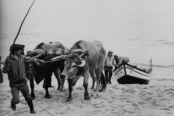 Mario Orfini : Nazar, Portogallo  - Asta Fotografia  - Associazione Nazionale - Case d'Asta italiane