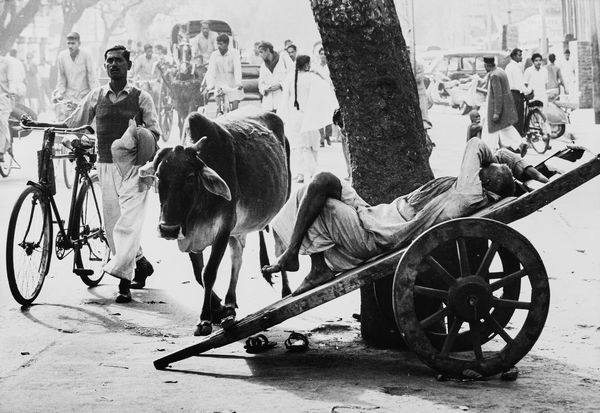 Vittoriano Rastelli : India  - Asta Fotografia  - Associazione Nazionale - Case d'Asta italiane