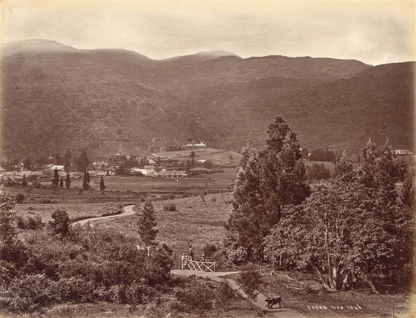 William Louis Henry Skeen & Co : Senza titolo (Ceylon)  - Asta Fotografia  - Associazione Nazionale - Case d'Asta italiane