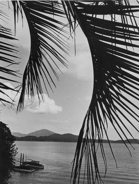 Bruno Stefani : Lago Maggiore  - Asta Fotografia  - Associazione Nazionale - Case d'Asta italiane