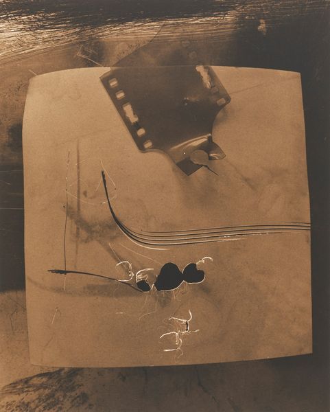 Vladimir Zidlicky : Still life  - Asta Fotografia  - Associazione Nazionale - Case d'Asta italiane