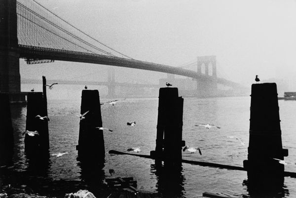 Anonimo : Senza titolo (New York ponte di Brooklin)  - Asta Fotografia  - Associazione Nazionale - Case d'Asta italiane