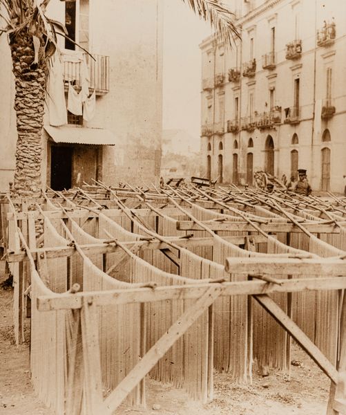 Anonimo : Senza titolo (Maccheroni)  - Asta Fotografia  - Associazione Nazionale - Case d'Asta italiane