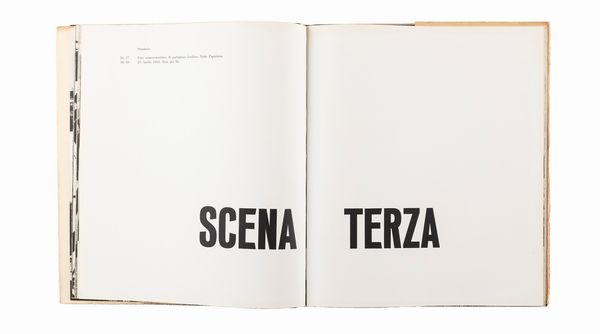 Mario Carrieri : Milano, Italia  - Asta Fotografia  - Associazione Nazionale - Case d'Asta italiane
