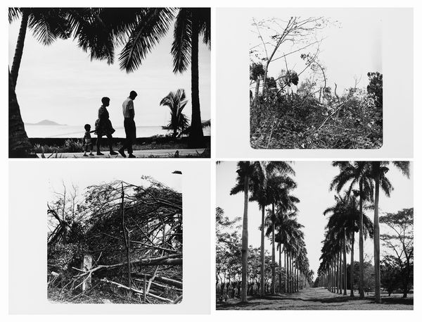 Vittorio Garatti, Attribuito a : Senza titolo  - Asta Fotografia  - Associazione Nazionale - Case d'Asta italiane