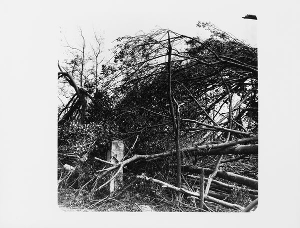 Vittorio Garatti, Attribuito a : Senza titolo  - Asta Fotografia  - Associazione Nazionale - Case d'Asta italiane