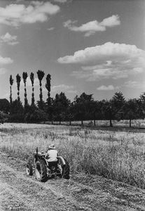 Riccardo Moncalvo - Senza titolo