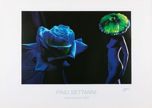 Pino Settanni - Indecorosa blu