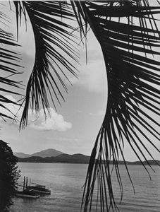 Bruno Stefani - Lago Maggiore
