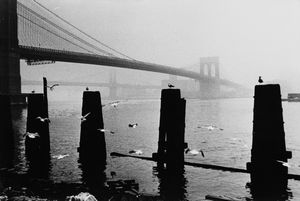 Anonimo - Senza titolo (New York ponte di Brooklin)