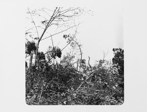 Vittorio Garatti, Attribuito a : Senza titolo  - Asta Fotografia  - Associazione Nazionale - Case d'Asta italiane