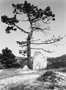 Vittorio Garatti, Attribuito a - Senza titolo