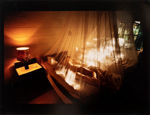 Pierangelo Gramignola - Nudo con zanzariera