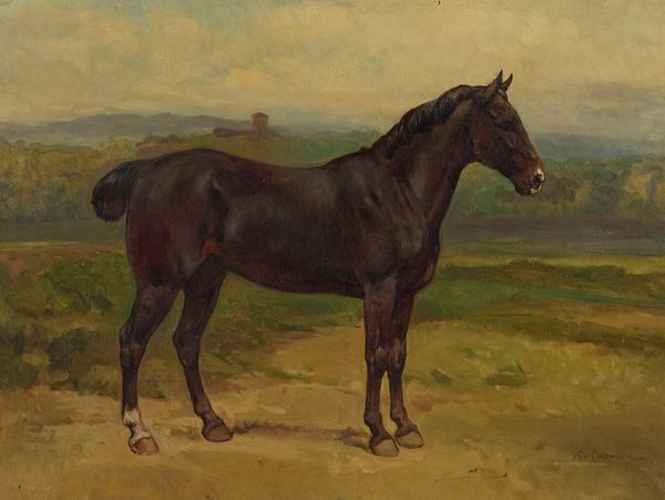 Enrico Coleman : Cavallo  - Asta Arte Moderna e Contemporanea - Associazione Nazionale - Case d'Asta italiane