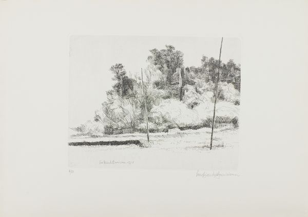 LINO BIANCHI BARRIVIERA : Sulla Flaminia Vecchia  - Asta Arte Moderna e Contemporanea - Associazione Nazionale - Case d'Asta italiane