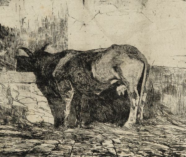 Giovanni Fattori : La mucca  - Asta Arte Moderna e Contemporanea - Associazione Nazionale - Case d'Asta italiane