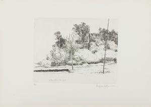 LINO BIANCHI BARRIVIERA - Sulla Flaminia Vecchia