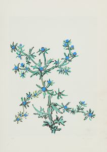 Nino Tirinnanzi - Fiori