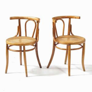 Coppia di sedie in legno curvato e seduta in cannetè  - Asta  Antiquariato gennaio | Cambi Time - Associazione Nazionale - Case d'Asta italiane