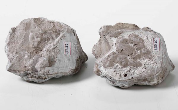 Coppia di teste di putti in terracotta. Plasticatore del XIX secolo  - Asta Scultura | Cambi Time - Associazione Nazionale - Case d'Asta italiane