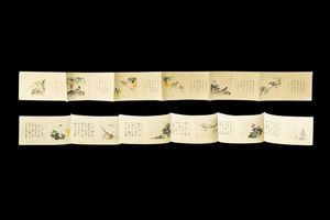 COPPIA DI ALBUM - Coppia di album con disegni acquerellati di insetti e piante  Cina  dinastia Qing  XX secolo. H cm 29 5x29 5