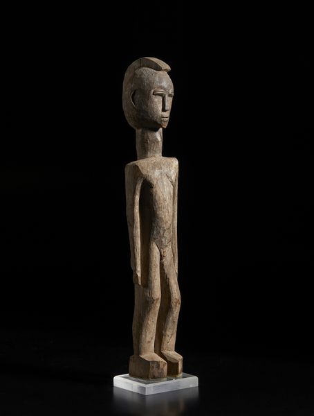 . : Coppia di conchiglie montateItalia, XX secolo  - Asta Asta 392 | ARTE ORIENTALE E ISLAMICA - ARTE AFRICANA, OCEANICA E DELLE AMERICHE - EAST AND SOUTH: ASIAN, ISLAMIC, INDIAN AND ETHNOGRAPIC ART Online - Associazione Nazionale - Case d'Asta italiane