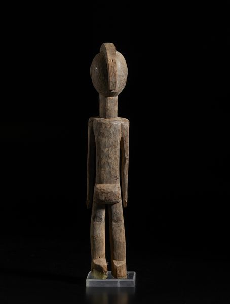 . : Coppia di conchiglie montateItalia, XX secolo  - Asta Asta 392 | ARTE ORIENTALE E ISLAMICA - ARTE AFRICANA, OCEANICA E DELLE AMERICHE - EAST AND SOUTH: ASIAN, ISLAMIC, INDIAN AND ETHNOGRAPIC ART Online - Associazione Nazionale - Case d'Asta italiane