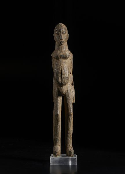 . : Coppia di conchiglie su baseItalia, XX secolo  - Asta Asta 392 | ARTE ORIENTALE E ISLAMICA - ARTE AFRICANA, OCEANICA E DELLE AMERICHE - EAST AND SOUTH: ASIAN, ISLAMIC, INDIAN AND ETHNOGRAPIC ART Online - Associazione Nazionale - Case d'Asta italiane