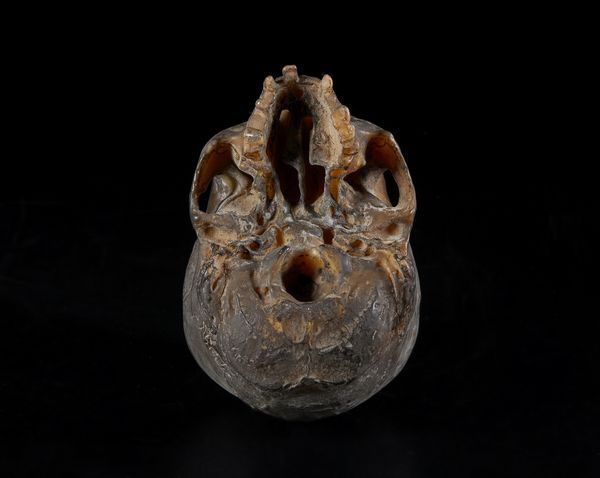 Arte africana : Burkina Faso, Lobi.Scultura in legno.  - Asta Asta 392 | ARTE ORIENTALE E ISLAMICA - ARTE AFRICANA, OCEANICA E DELLE AMERICHE - EAST AND SOUTH: ASIAN, ISLAMIC, INDIAN AND ETHNOGRAPIC ART Online - Associazione Nazionale - Case d'Asta italiane