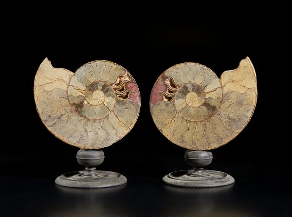 Arte africana : Nigeria, Yoruba. Figura di Eshu.Legno con patina scura, cauri e cuoio. Prima met� del XX sec.  - Asta Asta 392 | ARTE ORIENTALE E ISLAMICA - ARTE AFRICANA, OCEANICA E DELLE AMERICHE - EAST AND SOUTH: ASIAN, ISLAMIC, INDIAN AND ETHNOGRAPIC ART Online - Associazione Nazionale - Case d'Asta italiane