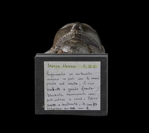 Arte Indiana : Stele in pietra scura raffigurante Vishnu India Nord-Orientale, Bihar, periodo Pala, XI secolo  - Asta Asta 392 | ARTE ORIENTALE E ISLAMICA - ARTE AFRICANA, OCEANICA E DELLE AMERICHE - EAST AND SOUTH: ASIAN, ISLAMIC, INDIAN AND ETHNOGRAPIC ART Online - Associazione Nazionale - Case d'Asta italiane