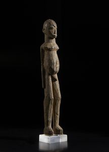 . - Coppia di conchiglie su baseItalia, XX secolo