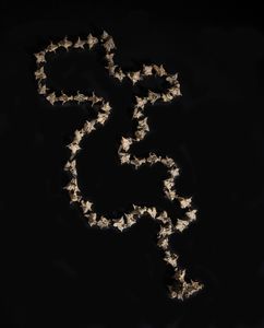 Arte africana : Sierra Leone.Scultura di antilope in legno dipinto protettore dei campi da riso.  - Asta Asta 392 | ARTE ORIENTALE E ISLAMICA - ARTE AFRICANA, OCEANICA E DELLE AMERICHE - EAST AND SOUTH: ASIAN, ISLAMIC, INDIAN AND ETHNOGRAPIC ART Online - Associazione Nazionale - Case d'Asta italiane