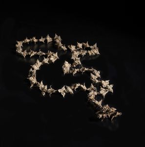 Arte africana : Sierra Leone.Scultura di antilope in legno dipinto protettore dei campi da riso.  - Asta Asta 392 | ARTE ORIENTALE E ISLAMICA - ARTE AFRICANA, OCEANICA E DELLE AMERICHE - EAST AND SOUTH: ASIAN, ISLAMIC, INDIAN AND ETHNOGRAPIC ART Online - Associazione Nazionale - Case d'Asta italiane