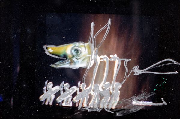 MARIO SCHIFANO : Senza titolo  - Asta Asta a Tempo - Arte Moderna e Contemporanea - Associazione Nazionale - Case d'Asta italiane