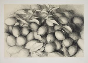 Dieter Kopp - Limoni