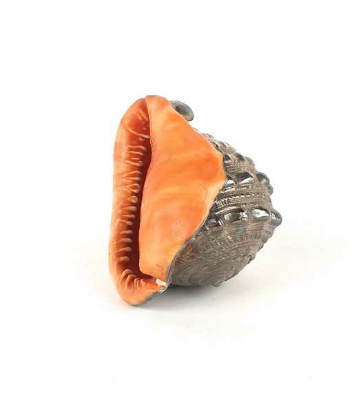 Conchiglia ornamentale rivestita in metallo argentato, argenteria artistica del Novecento  - Asta Asta a Tempo - Antiquariato - Associazione Nazionale - Case d'Asta italiane