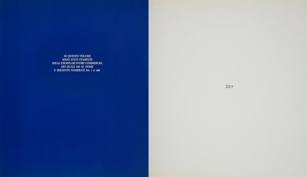 Nicola Spinosa. Il Mito e L'Immagine. Capri Ischia e Procida nella pittura dall'600 ai primi del '900  - Asta Asta a Tempo - Libri d'Arte e da Collezione - Associazione Nazionale - Case d'Asta italiane