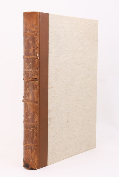 Mario Salmi, Charles De Tolnay, Paola Barocchi. Disegni di Michelangelo. 103 disegni in facsimile  - Asta Asta a Tempo - Libri d'Arte e da Collezione - Associazione Nazionale - Case d'Asta italiane